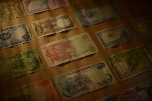 A close-up view of a collection of vintage Vietnamese banknotes displayed under soft lighting.