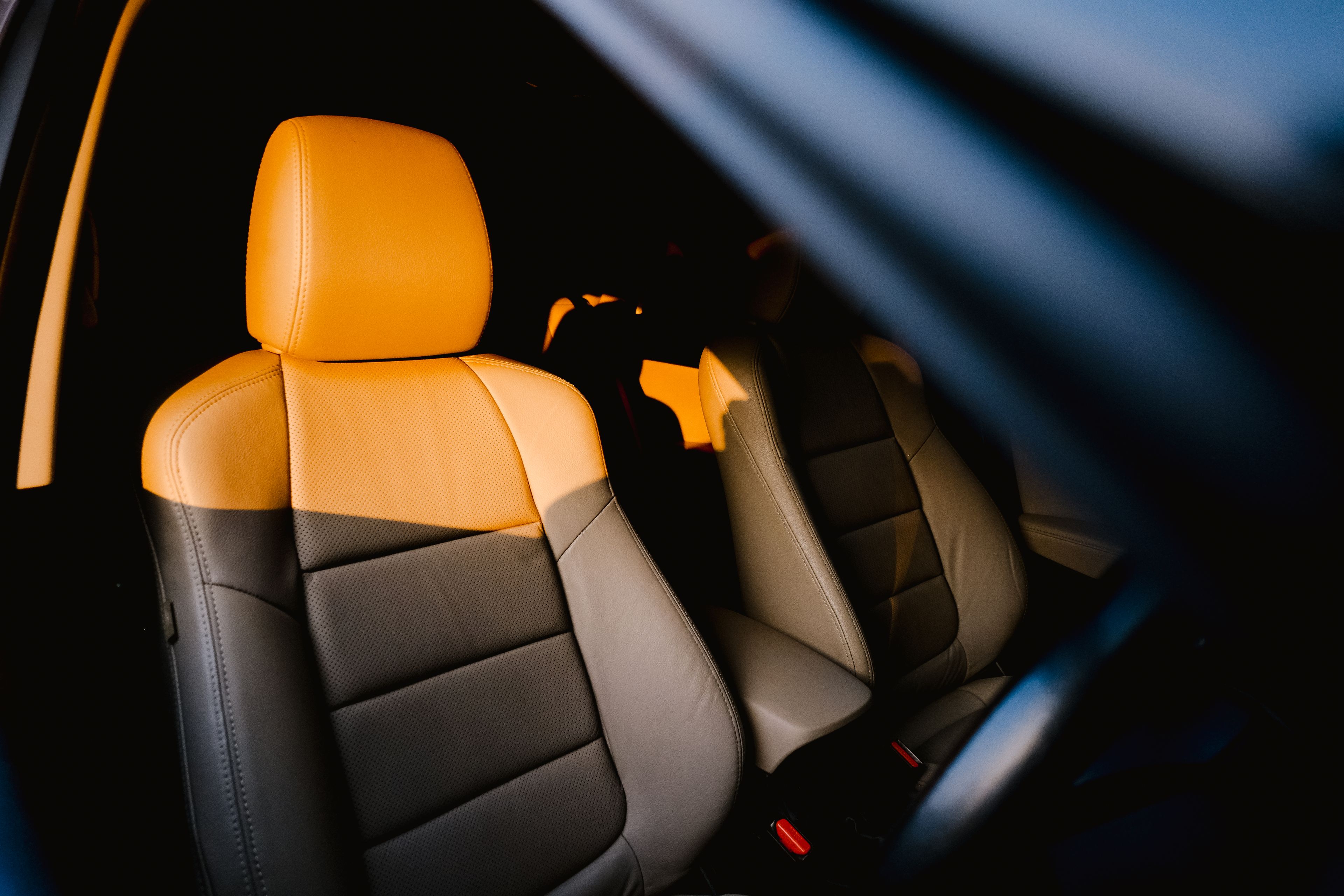 What to Expect from a Private Chauffeur — illustrating the guide