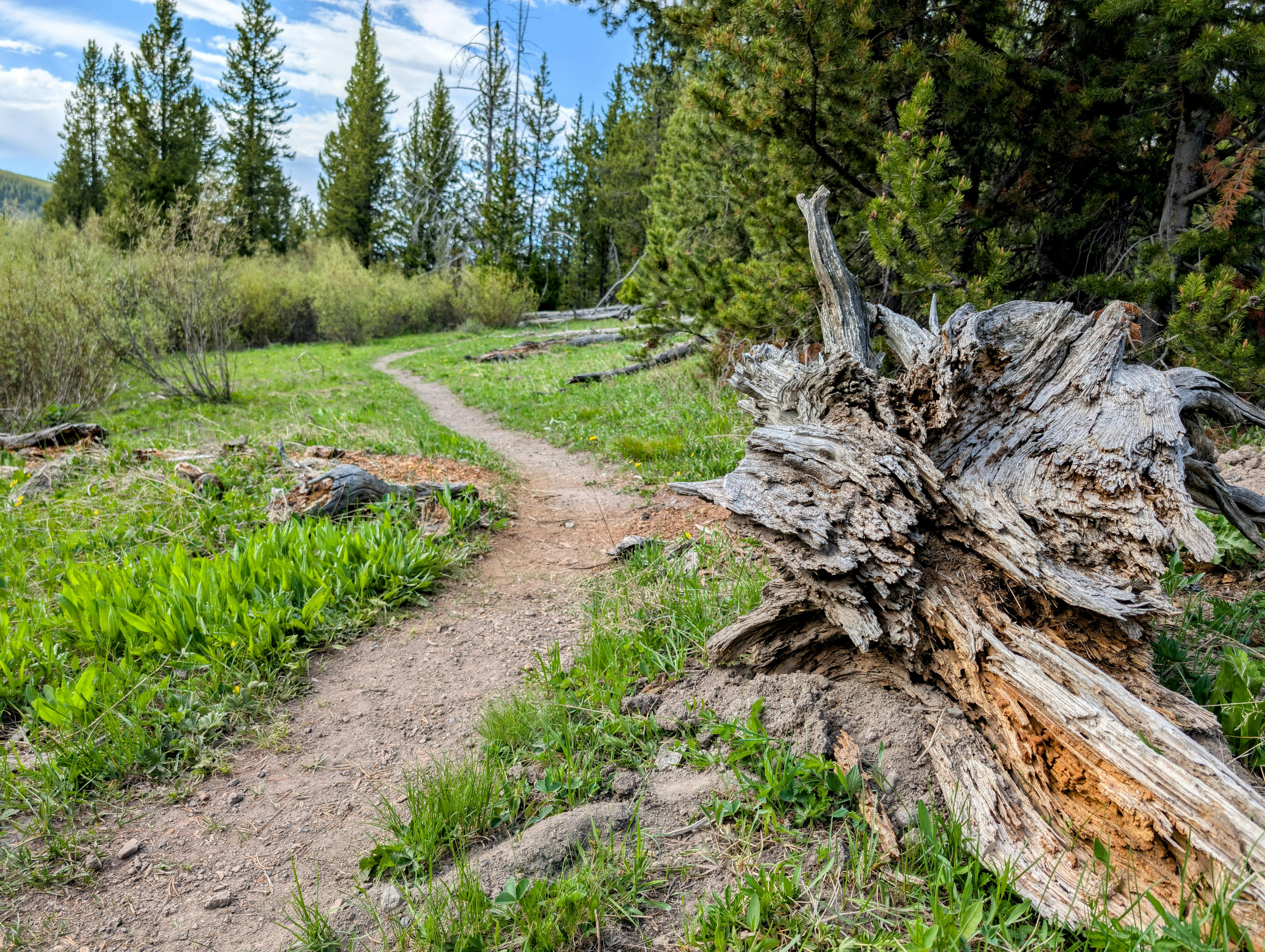 Kessler Mountain Regional Park: Springdale's Trail & Recreation Hub