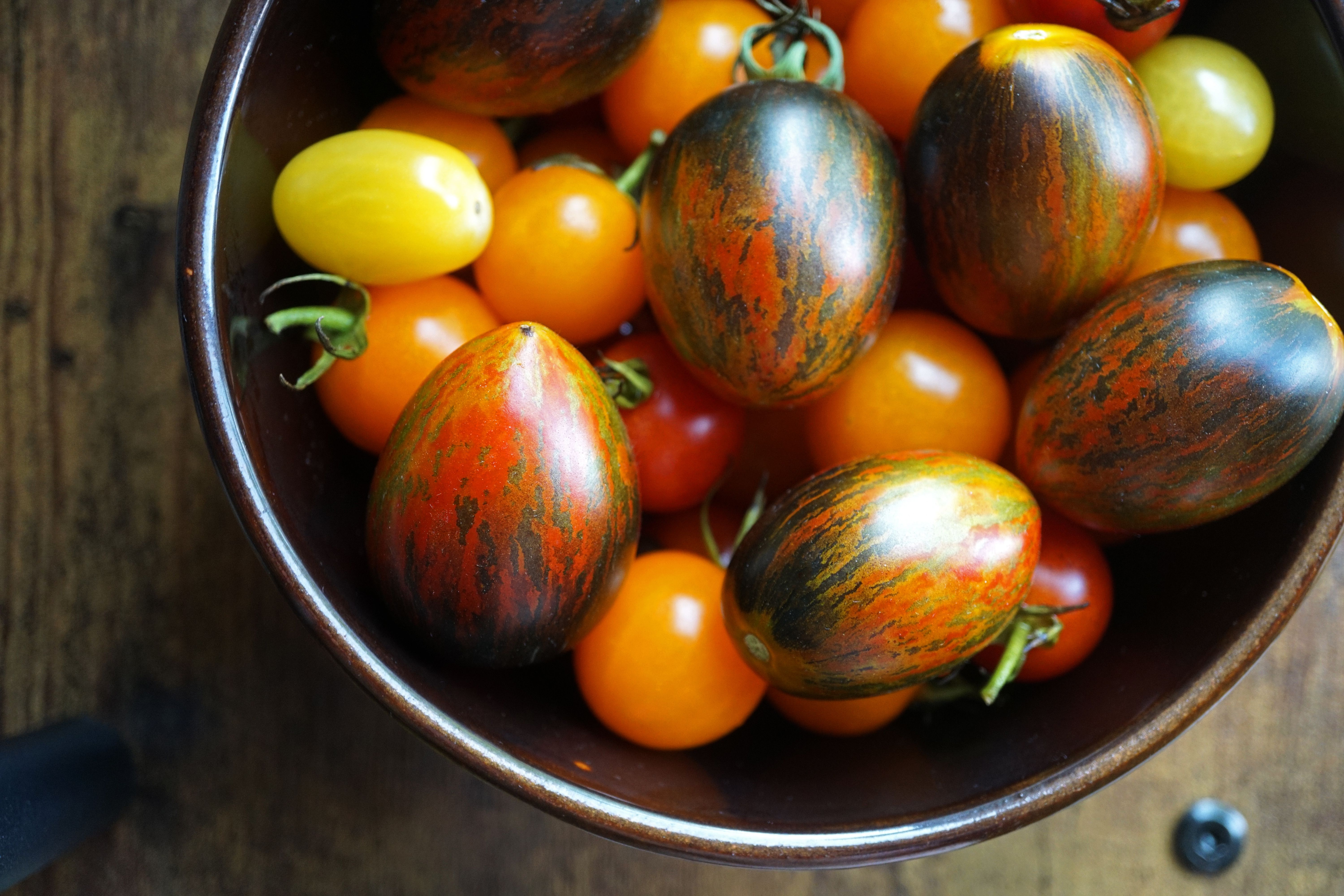 ‘Gardening is cheaper than therapy, and you get tomatoes’ — Photo by Nancy Zjaba on Pexels