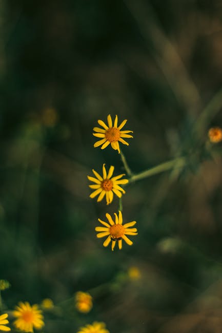 Menengahkan Elemen Secara Horizontal Menengahkan Elemen Secara Horizontal