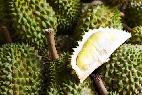 Free stock photo of asian, durian, eat