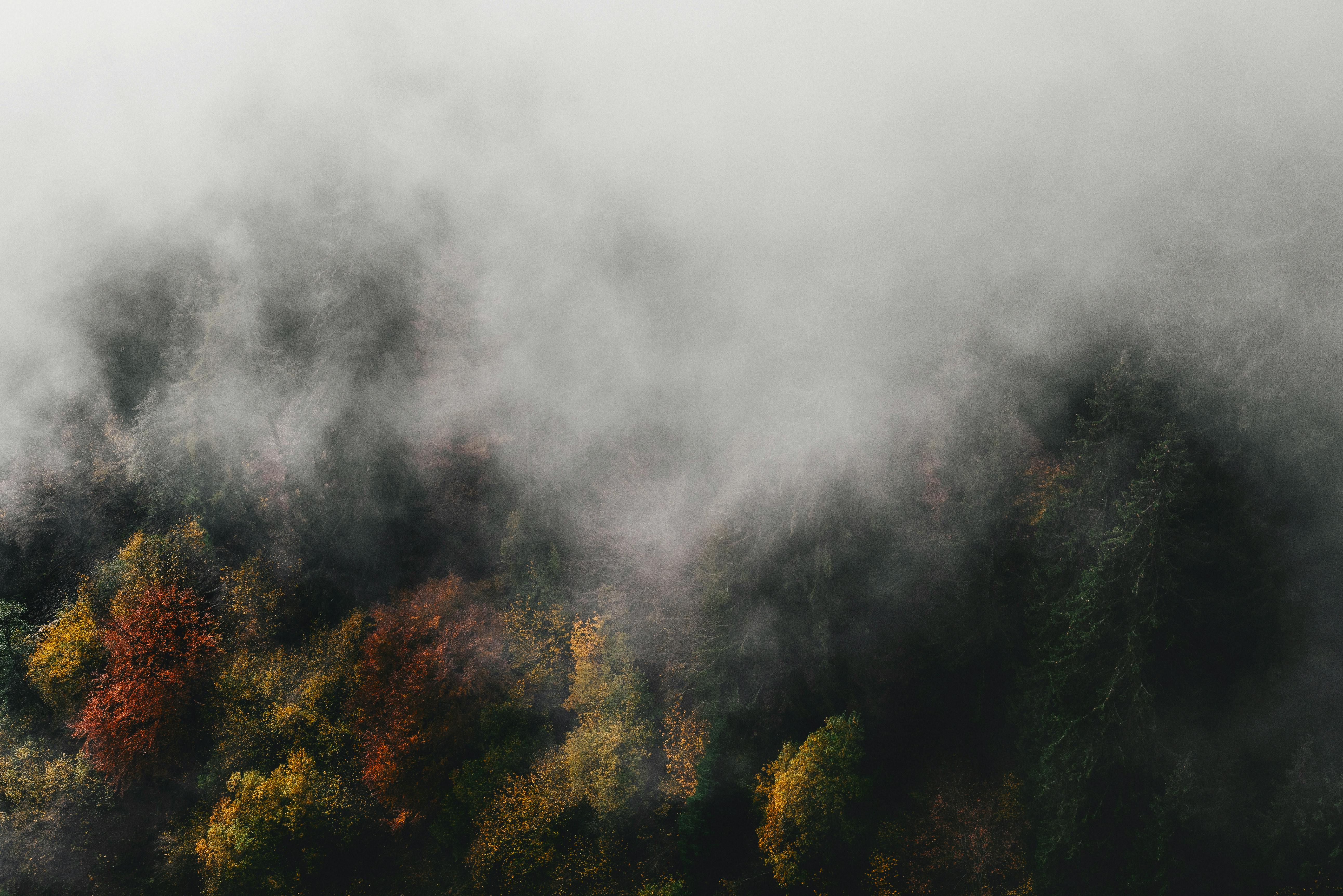 Aerial view of a mist-covered autumn forest with colorful foliage creating a moody atmosphere.