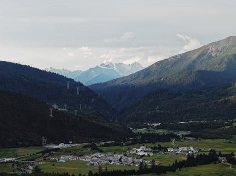 一个整理得井井有条的行李箱，内有儿童衣物和用品