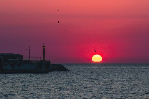 Free Captivating sunset over the ocean with silhouettes of birds and a pier, casting vibrant colors. Stock Photo