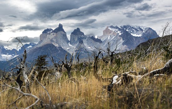 Torres Del Paine, Chile photo 12