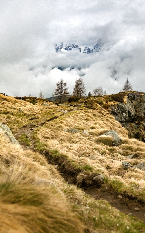 Free Breathtaking view of a hiking trail in Madonna di Campiglio with misty mountains in the background. Stock Photo