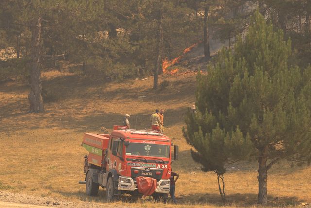 Firefighters and a fire truck working a forest wildfire — photo by Aydın Photography on Pexels