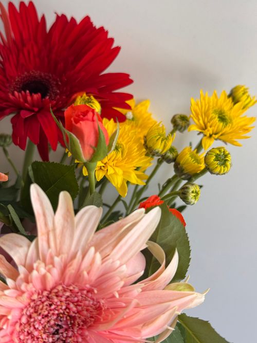 Free Colorful bouquet of gerberas, roses, and chrysanthemums. Stock Photo