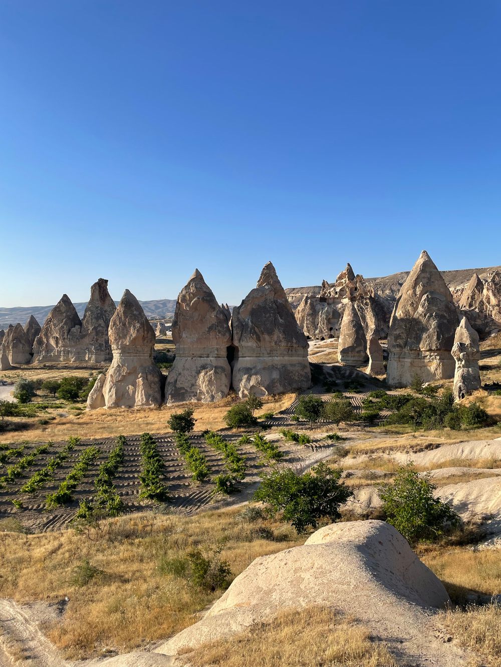 Formaciones rocosas de Capadocia bajo un cielo despejado