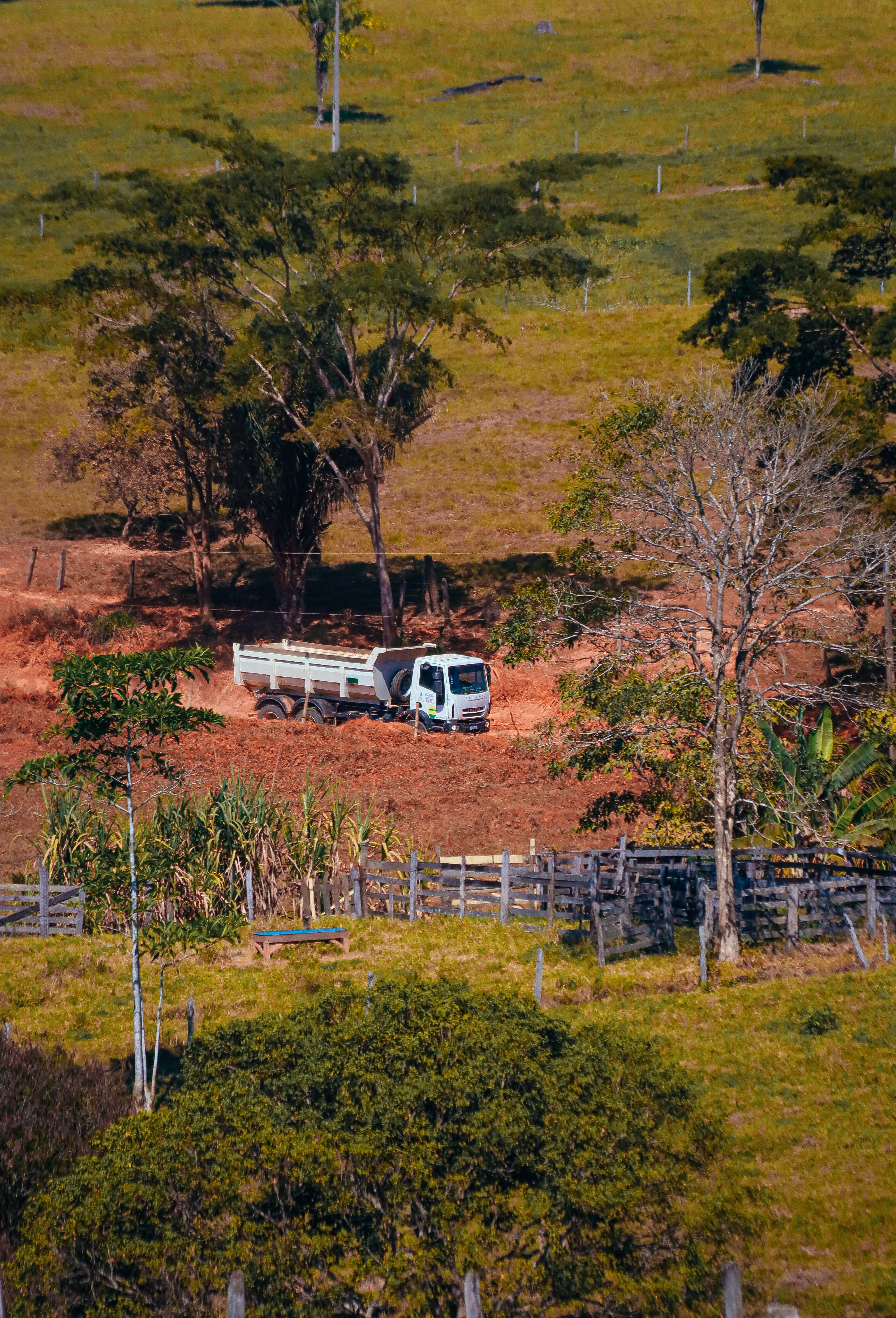 Rustic Rural Landscape with Truck in Field · Free Stock Photo