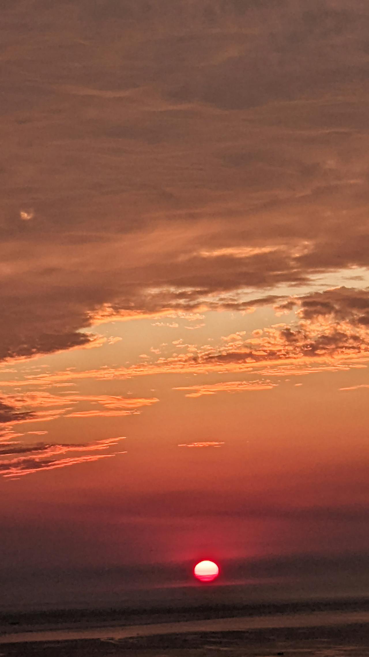 Chỉ còn 23% thiên nhiên hoang dã trên Trái Đất