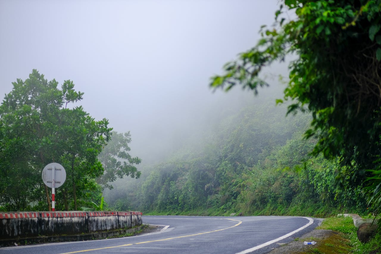 Tesla si mê chim bồ câu và câu chuyện độc đáo