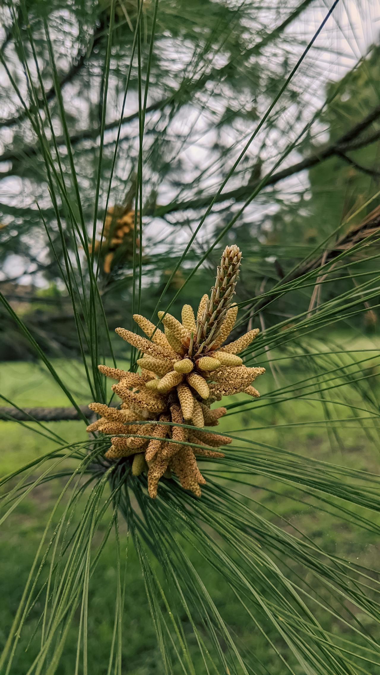 Đại dịch và chiến tranh đóng băng trong thời gian