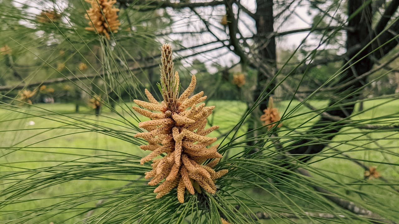 Mùa xuân vắng lặng | Chương 05