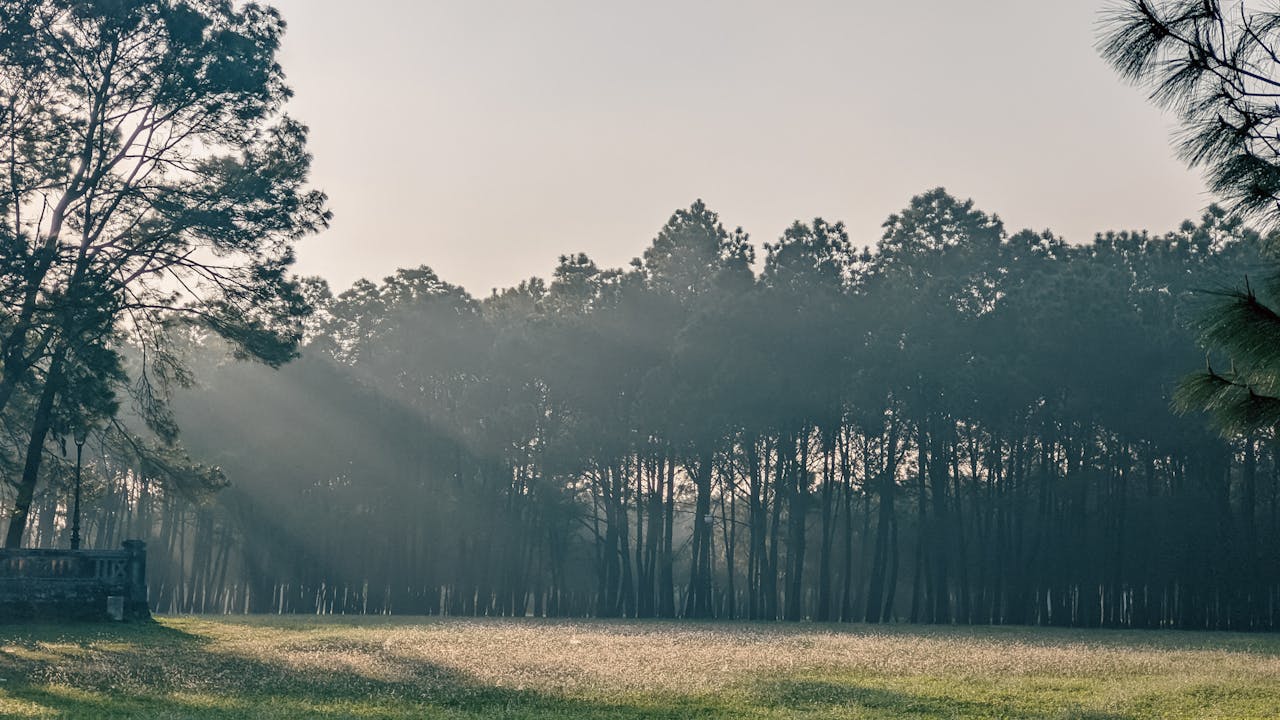 Mối tình của vị cao tăng chùa Shiga