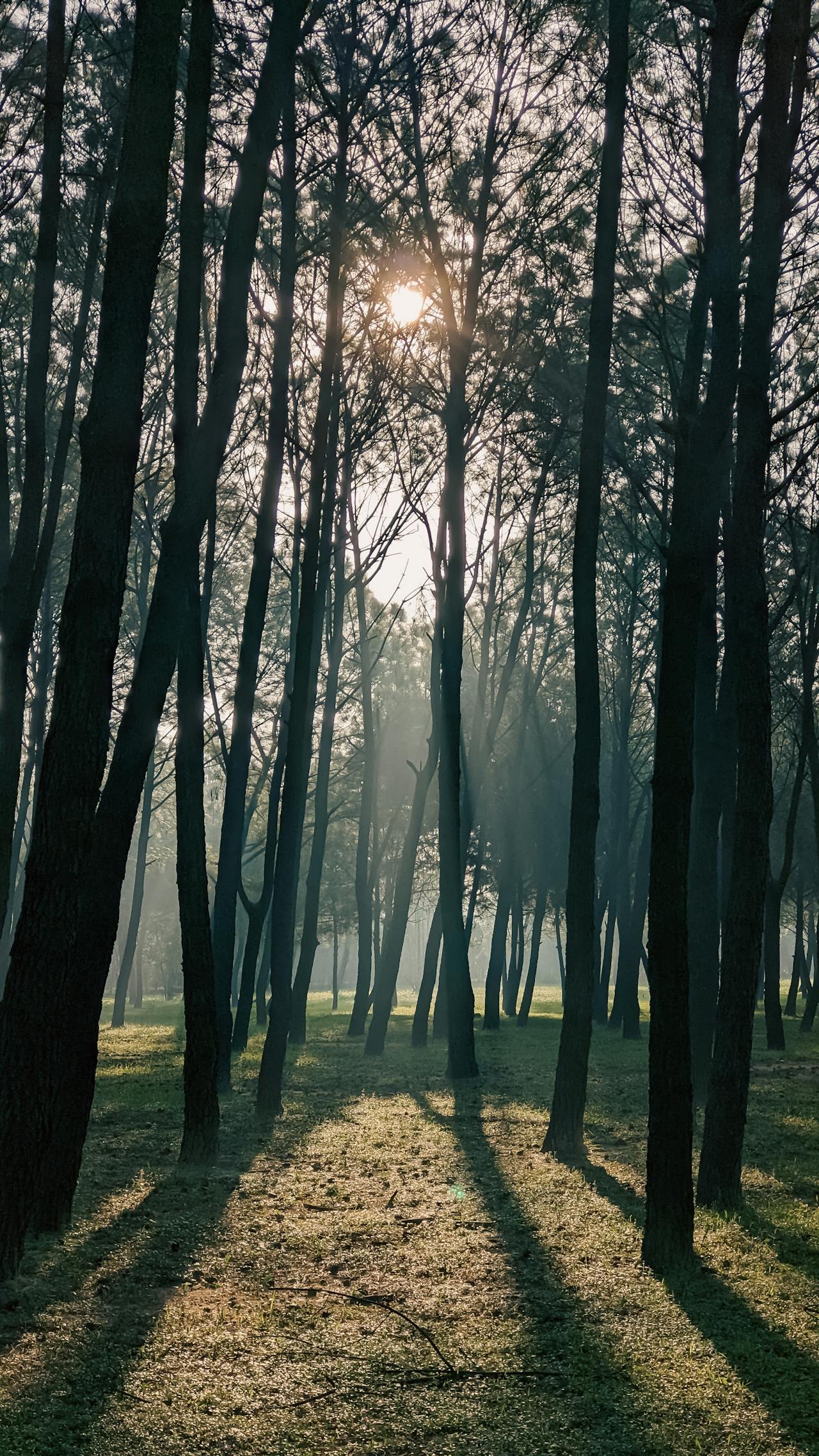 Thám tử lừng danh Conan | Chương 0543