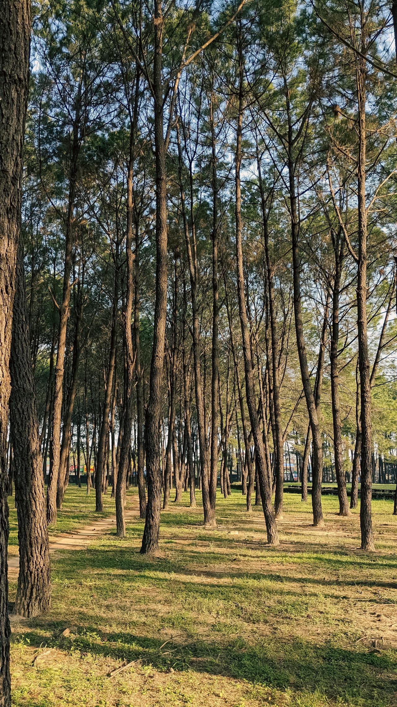 Sang nhượng khách sạn và những lưu ý cần biết