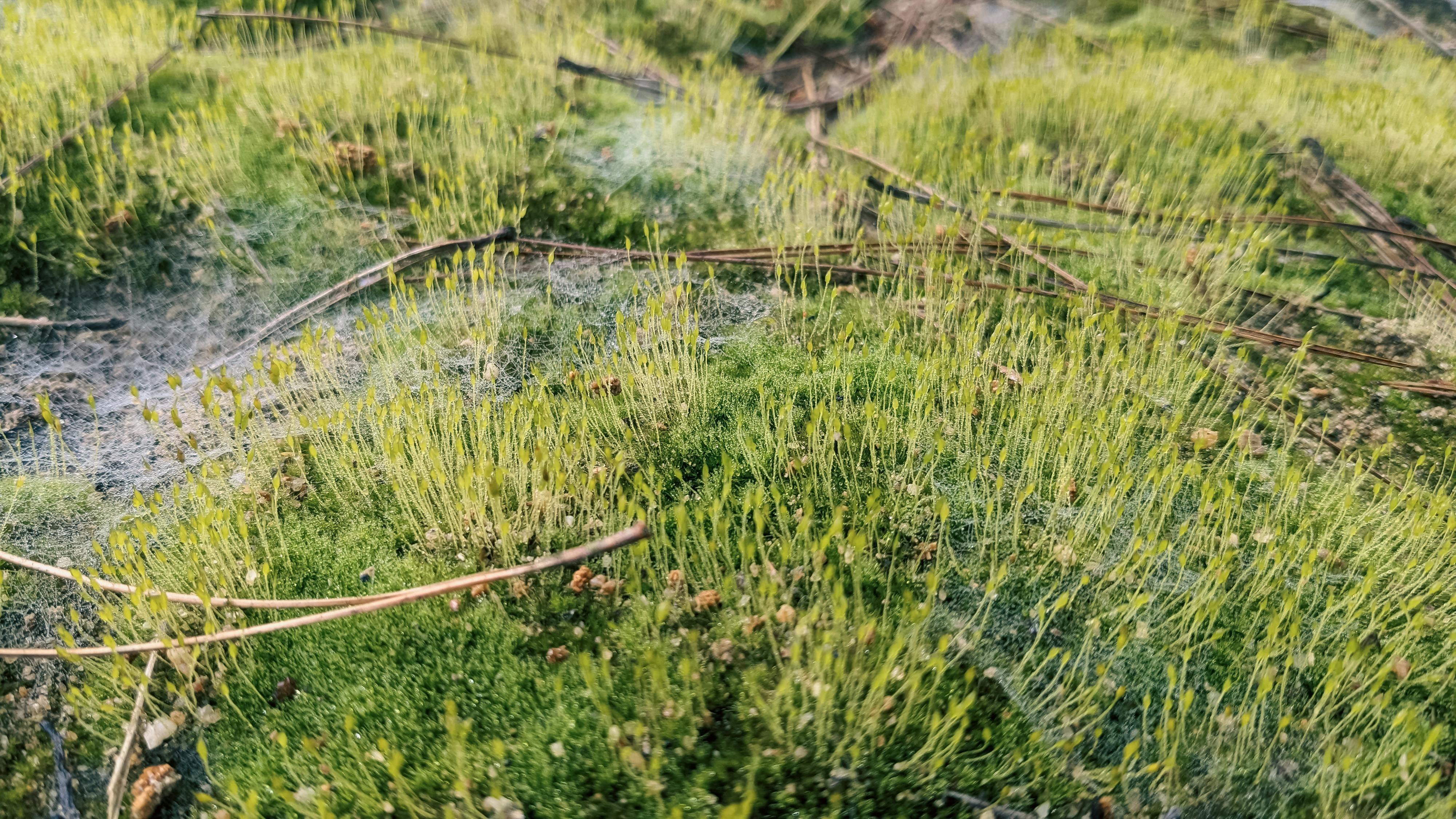 Trung tâm nghiên cứu văn học, phát triển nhà văn Việt Nam