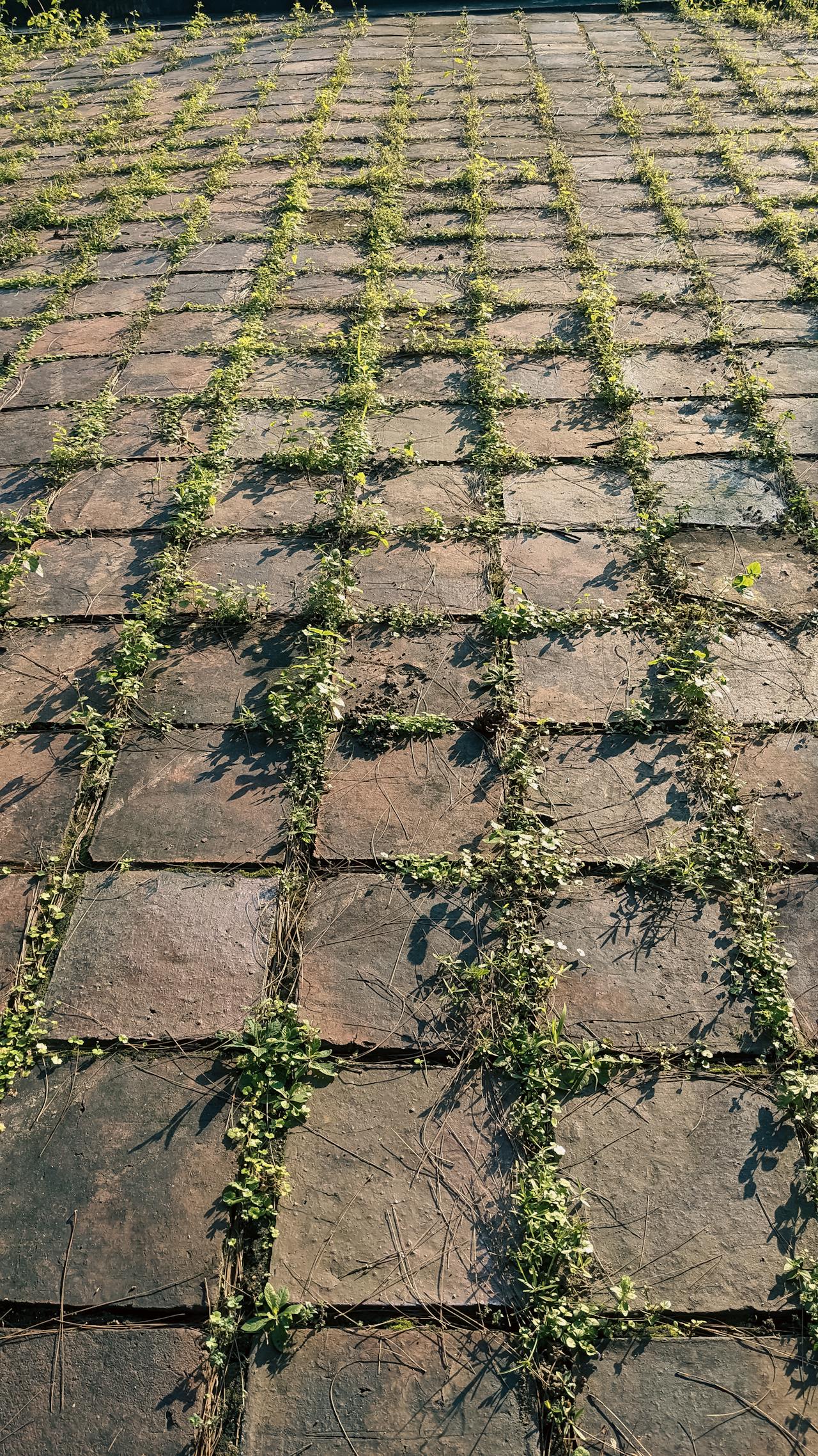 Talmud và Halakhah – Nền tảng luật pháp Do Thái