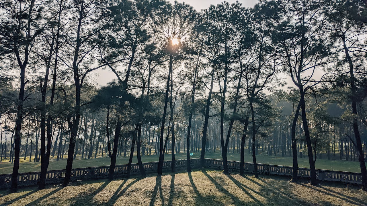 Thần điêu hiệp lữ | Chương 19