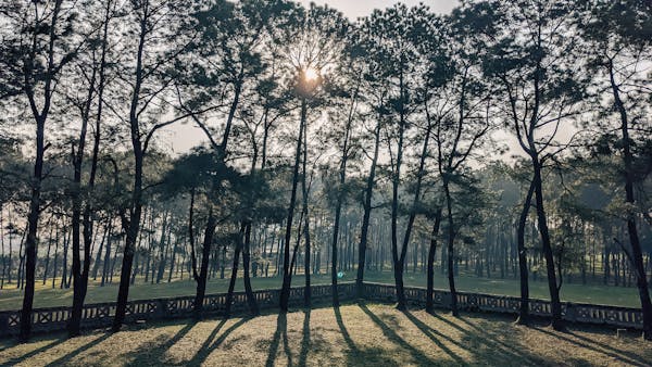 Trung tâm nghiên cứu văn học, phát triển nhà văn Việt Nam