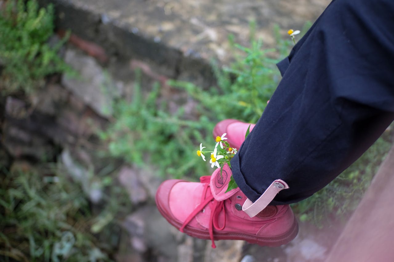 Thực vật ký sinh là kỹ sư hệ sinh thái