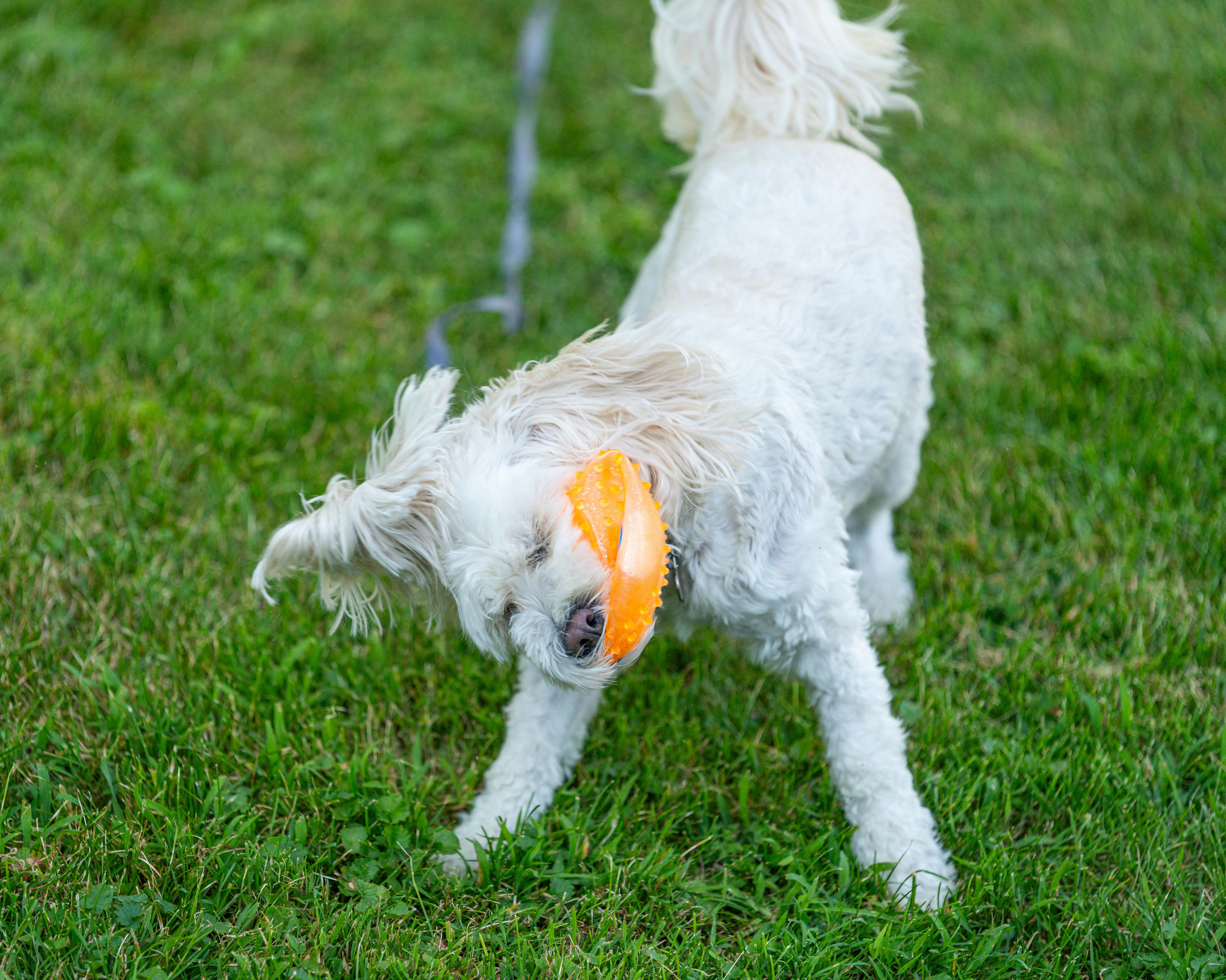 Mengenal Lebih Dekat Fetch API