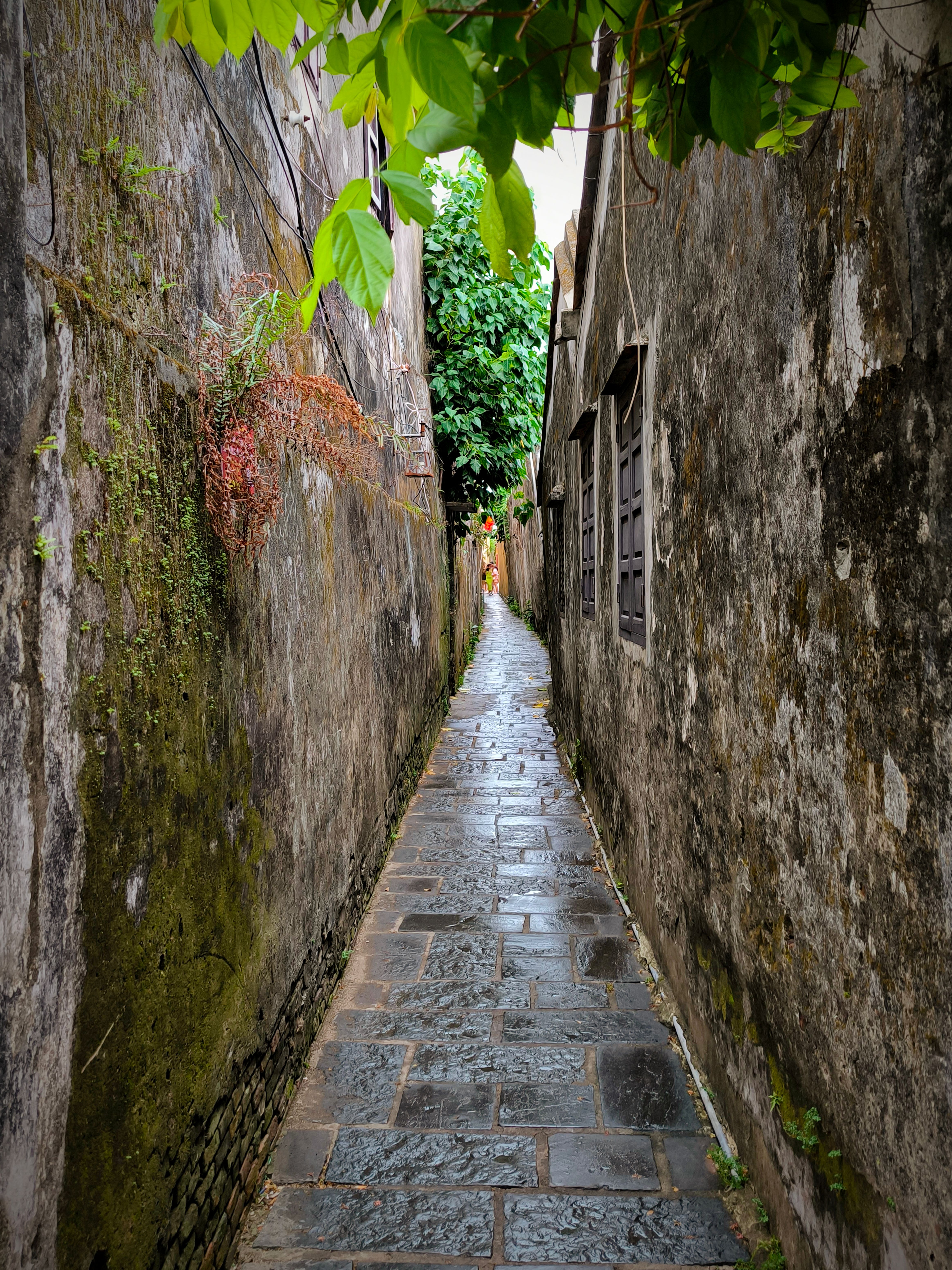 A picturesque narrow alleyway in Vietnam with stone path and aged walls.