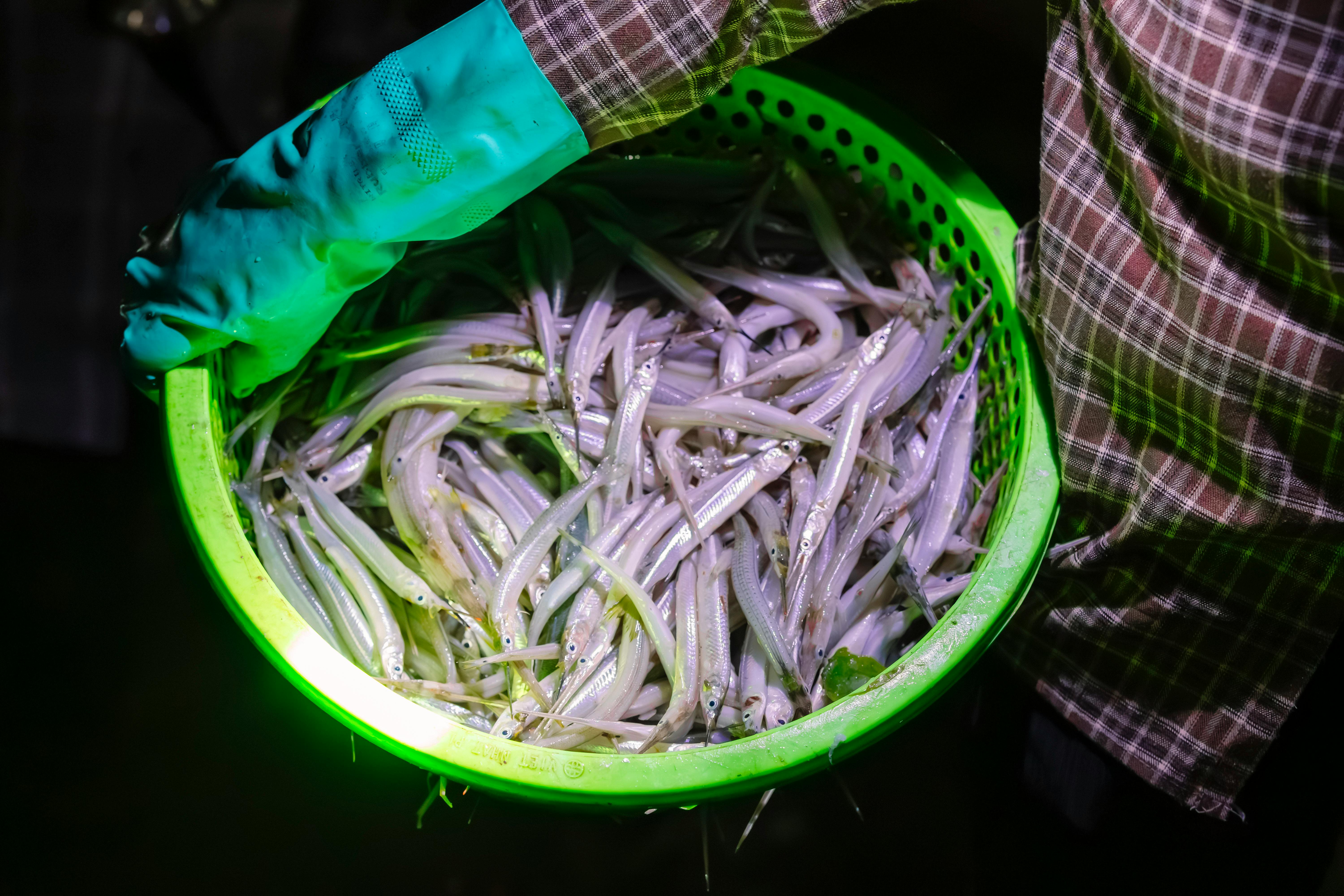 알리익스프레스 여름 바다를 준비하는 멋진 낚시 용품 추천 관련 이미지