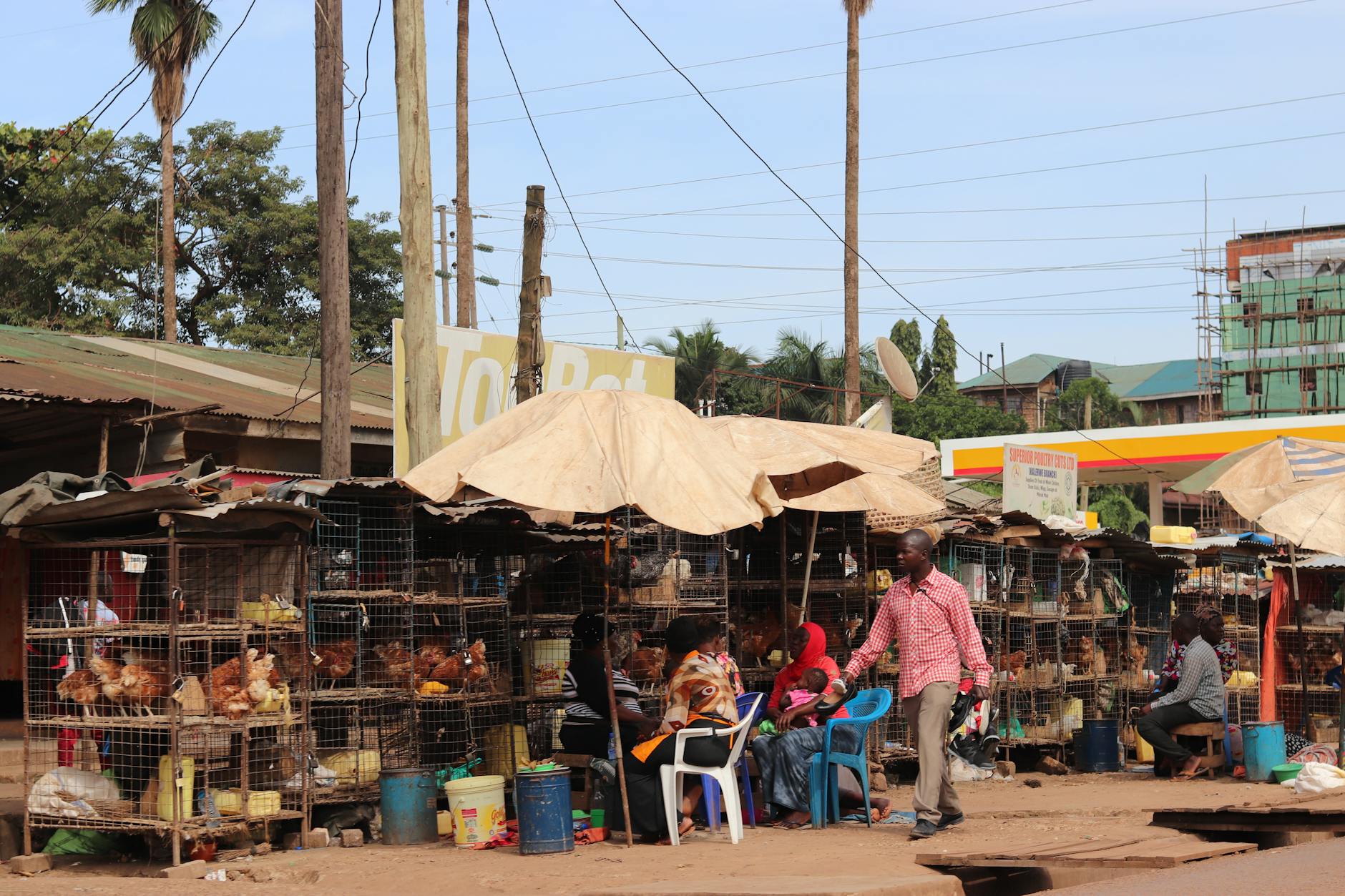 股份有限公司股權架構設計五大關鍵考量 股份有限公司股權架構設計五大關鍵考量