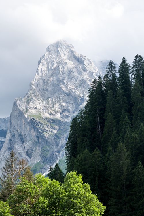 Free Stunning view of a towering peak in the Swiss Alps with lush forest. A perfect nature escape. Stock Photo