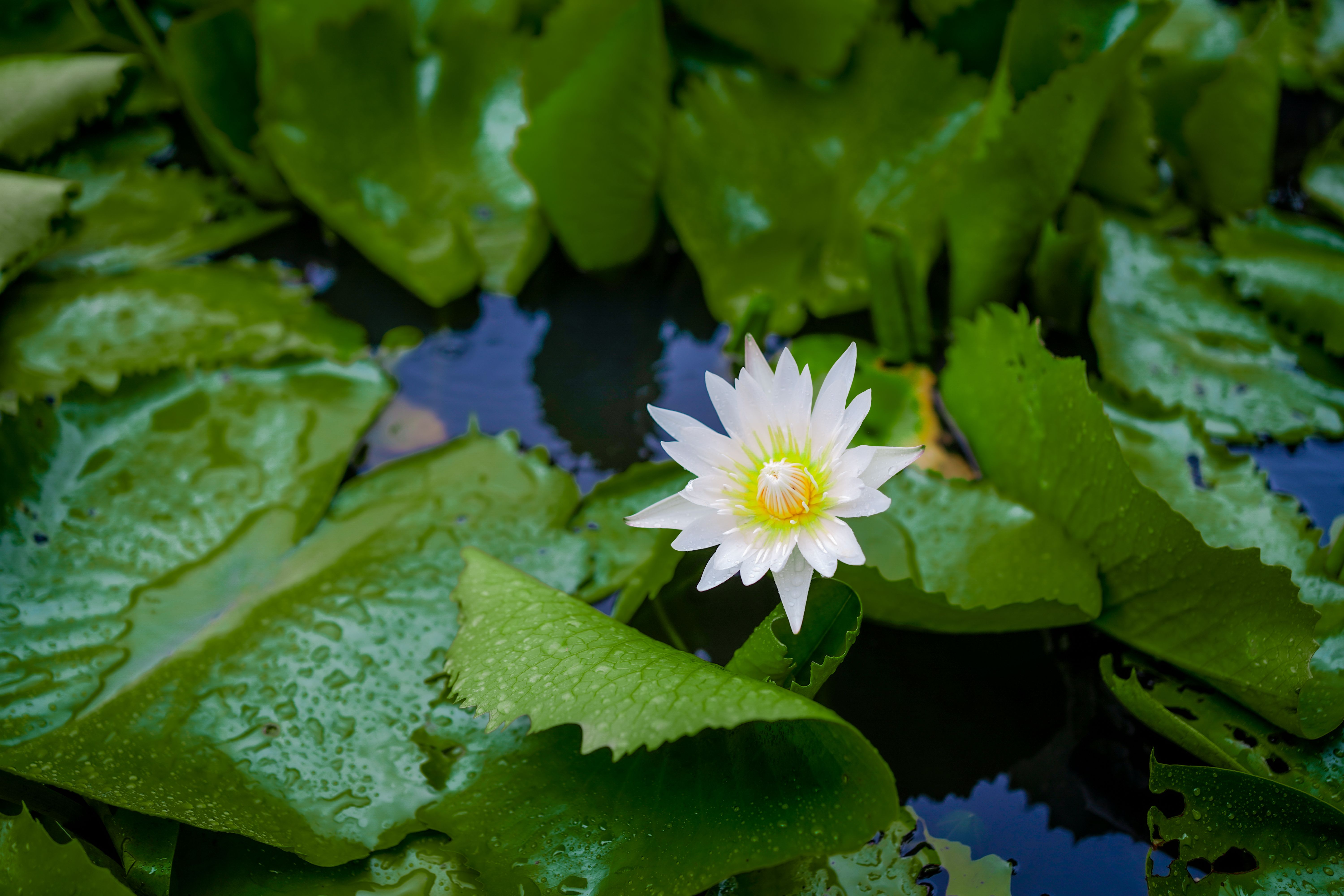Calming Photos, Download The BEST Free Calming Stock Photos & HD Images