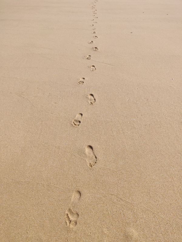 Footprints all going the same direction - The Advocate and the Obedience Test