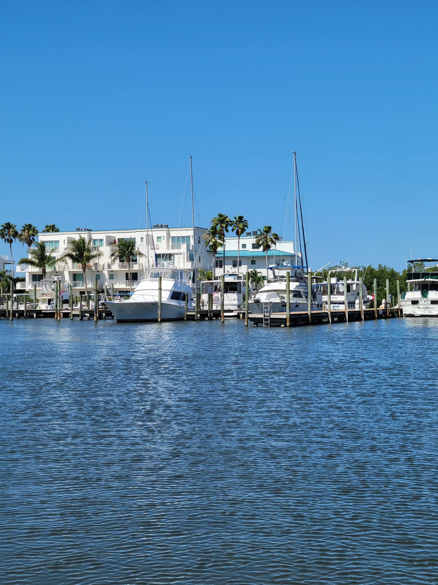 Naples Florida marina with boats, waterfront buildings and palm trees