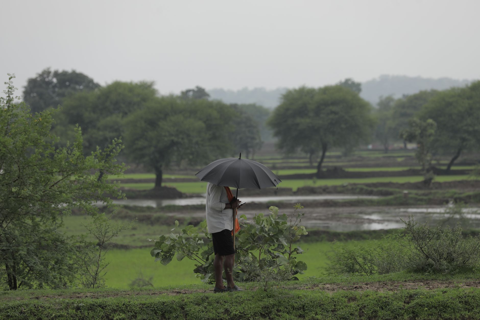 India cuts 2026 monsoon forecast to below normal