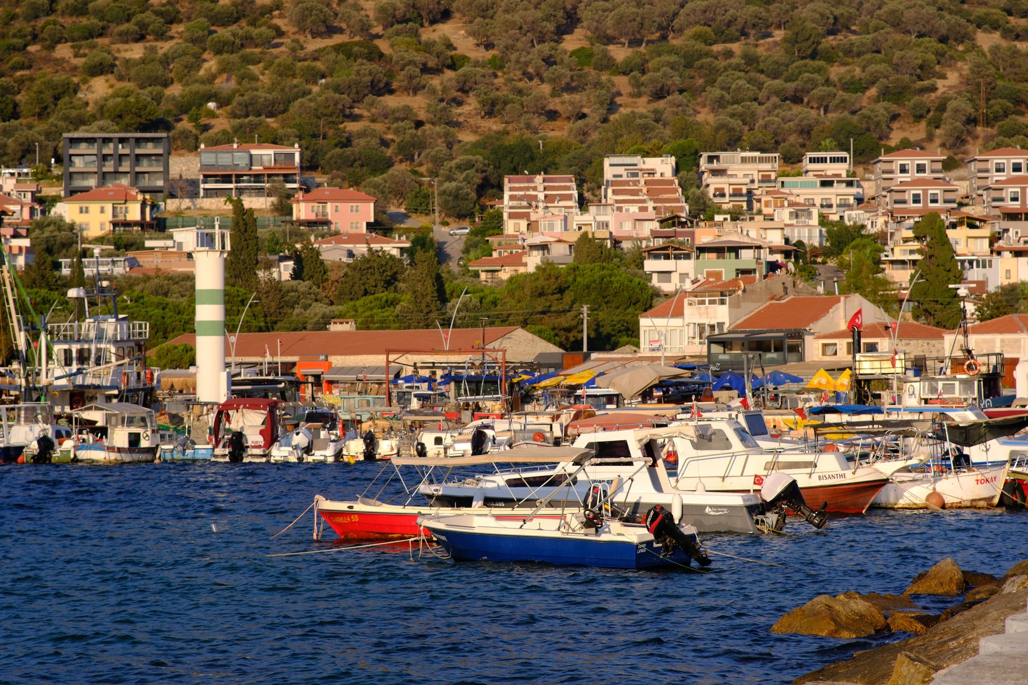 Foça