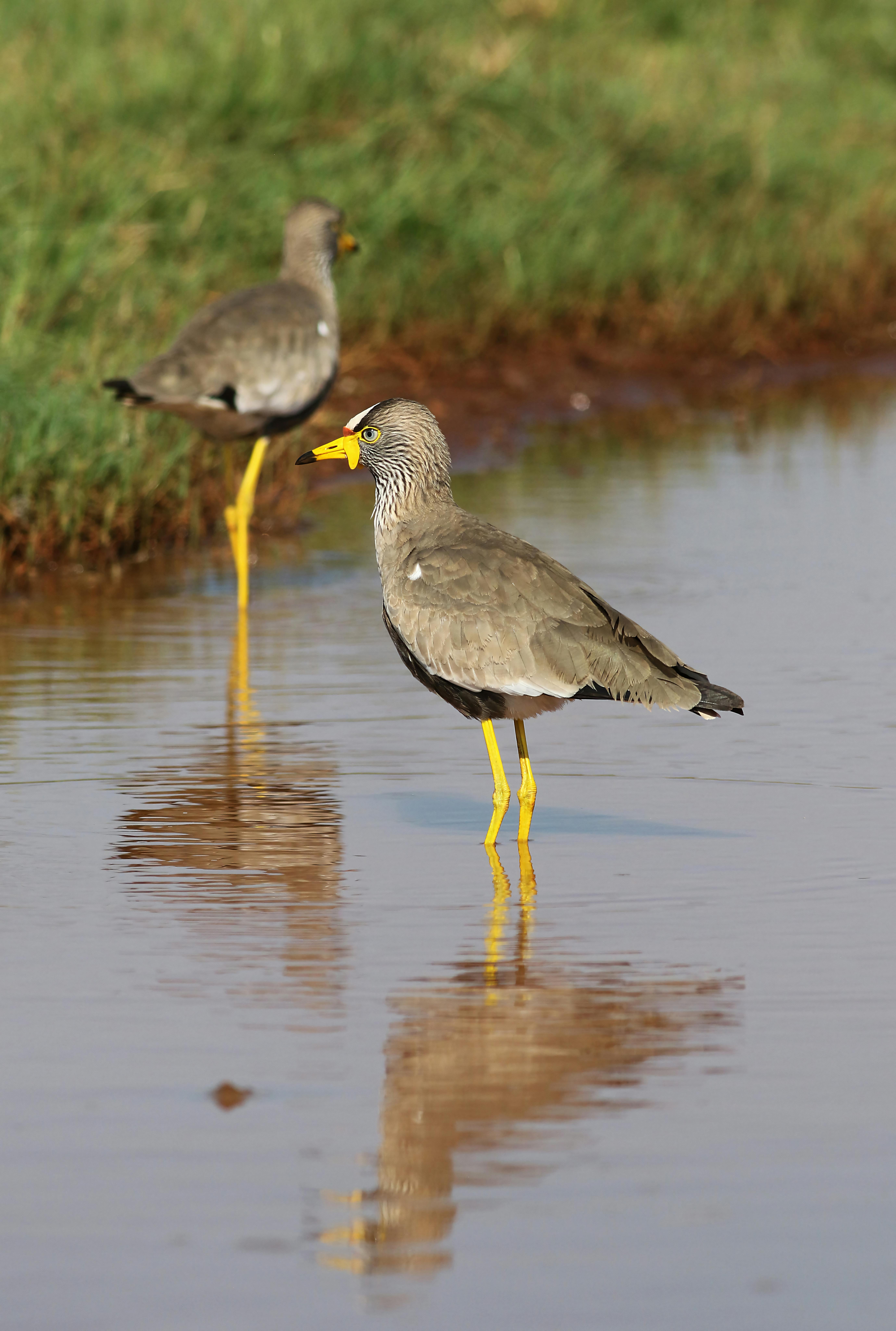 전화로 예약 확인하기