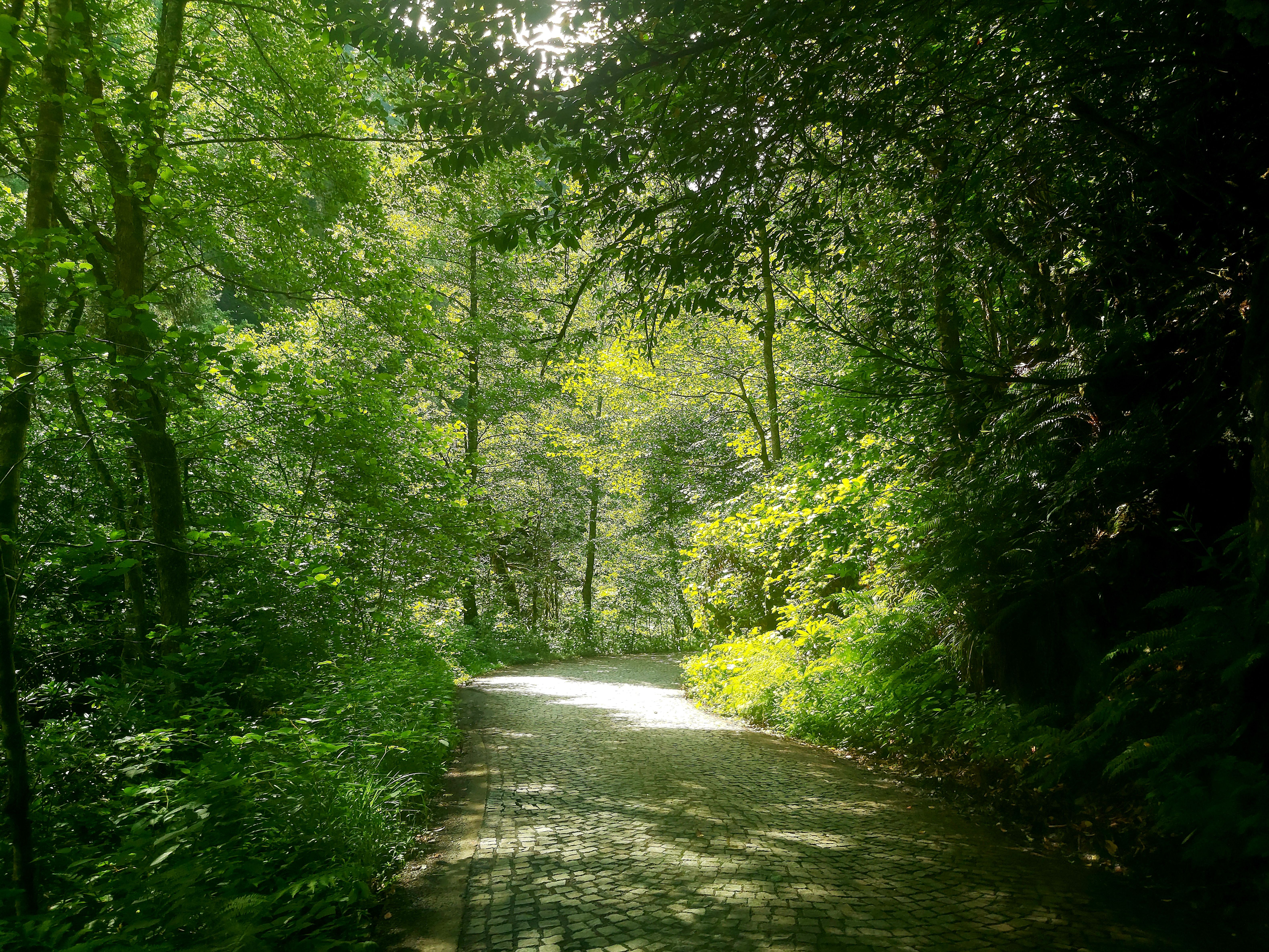 Picture of Peaceful Background Photos, Download The BEST Free Peaceful Background ...