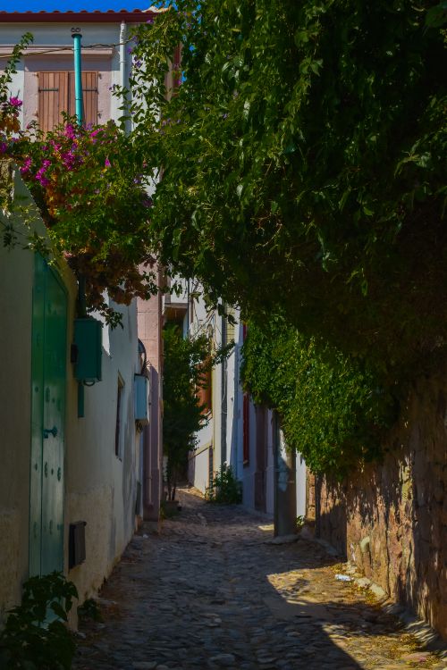 Free Explore a shaded narrow alley with vibrant greenery in a charming Greek village. Stock Photo