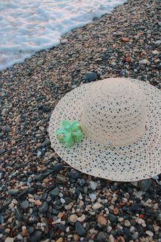 starfish photo
