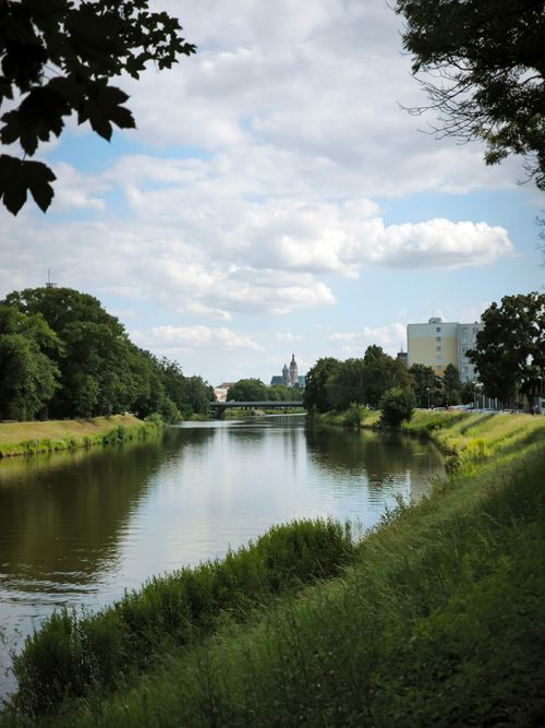 Free Calm river with lush greenery and cityscape in the distance under a bright sky. Stock Photo