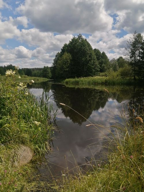 Free Tranquil riverside scene with lush greenery and calm water reflecting the sky. Stock Photo