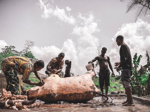 Photo Of People Standing Near Animal