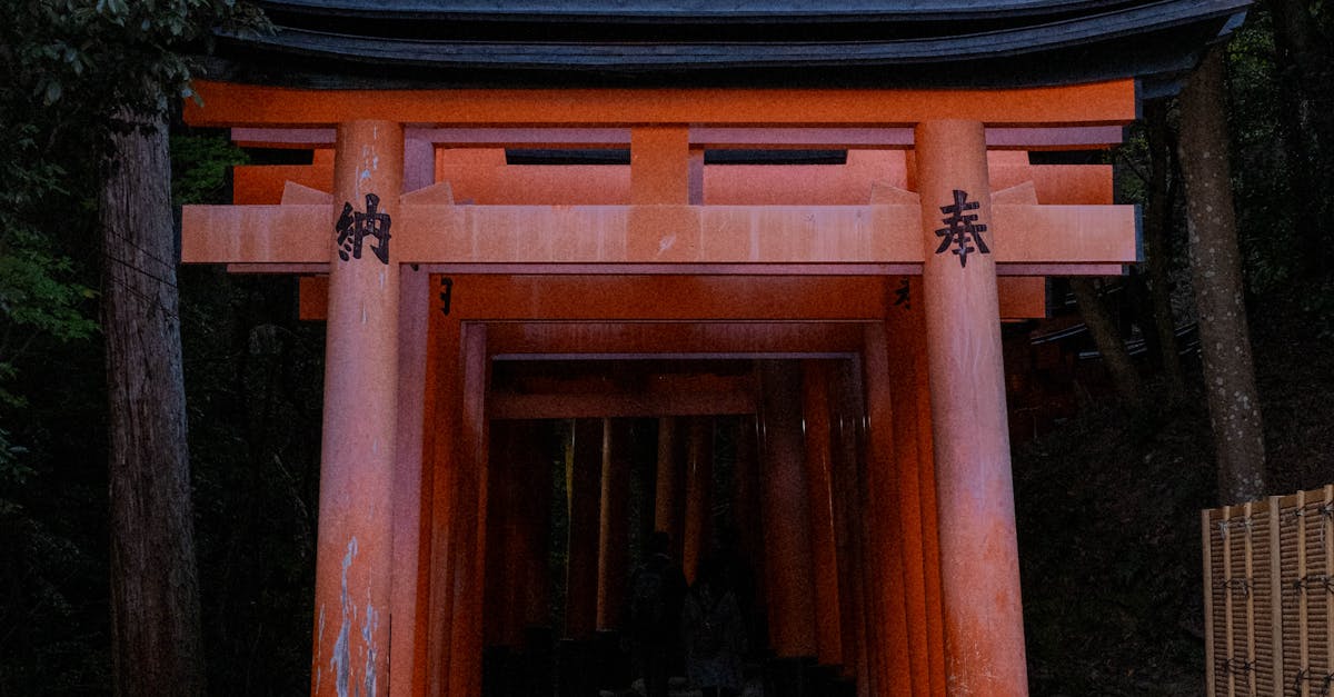 國際佛光青年參訪東禪寺 交流深受啟發
