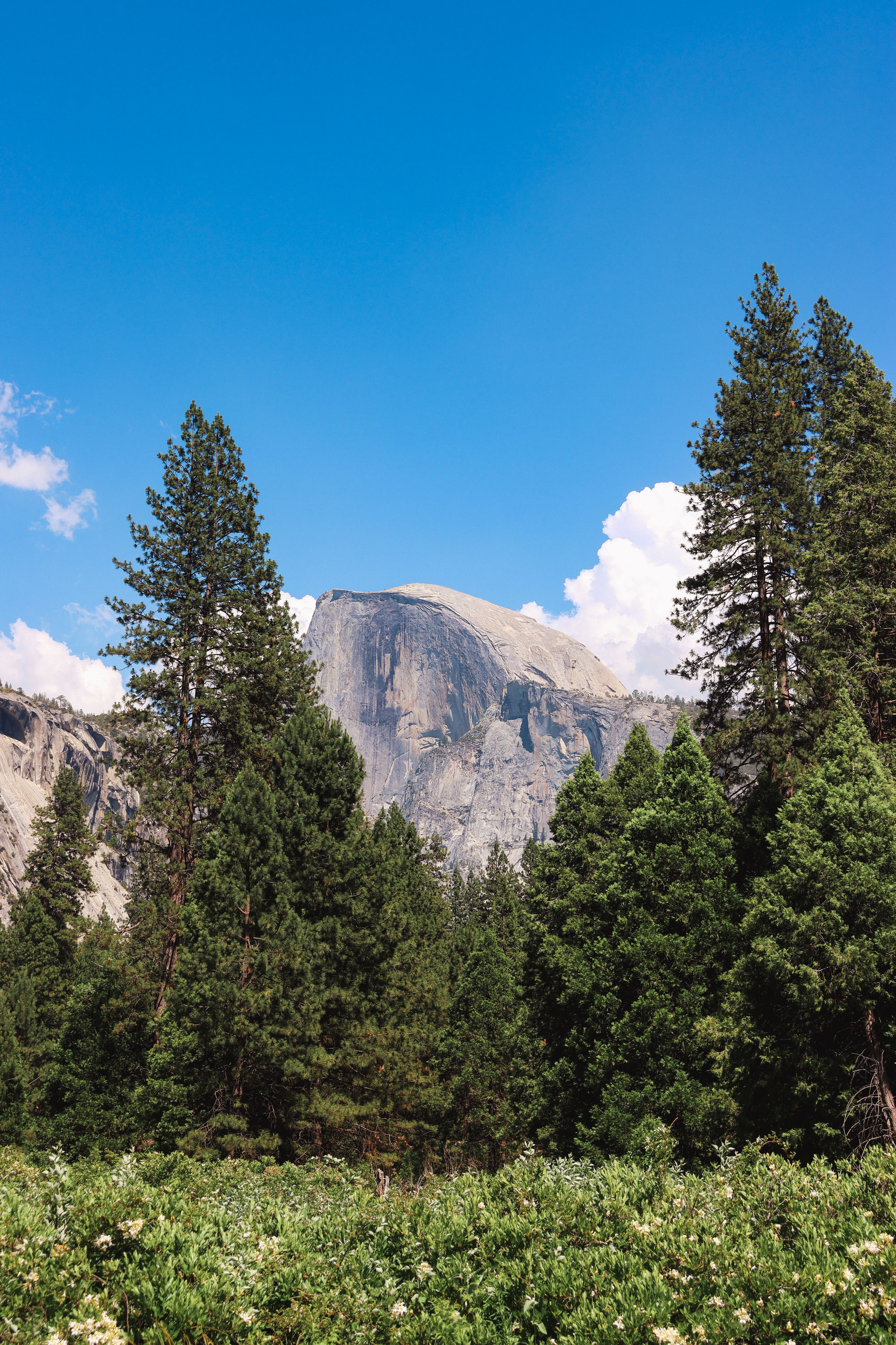 Majestic View of Half Dome in Yosemite National Park · Free Stock Photo