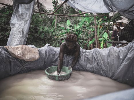 在尼日利亚埃格巴多南部，妇女们在郁郁葱葱的绿荫中进行传统洗衣