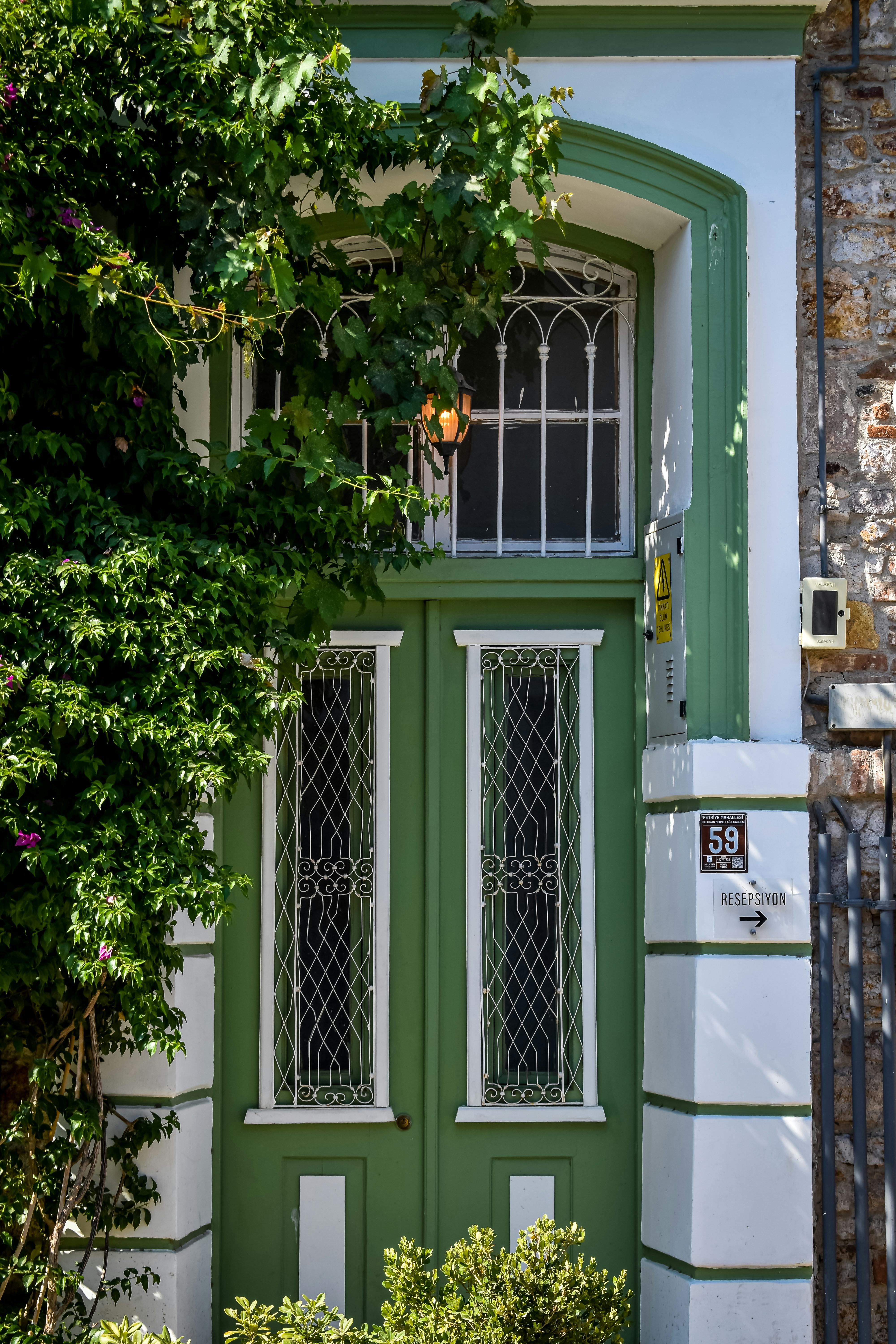 Vintage green door surrounded by ivy offers a charming, picturesque scene.