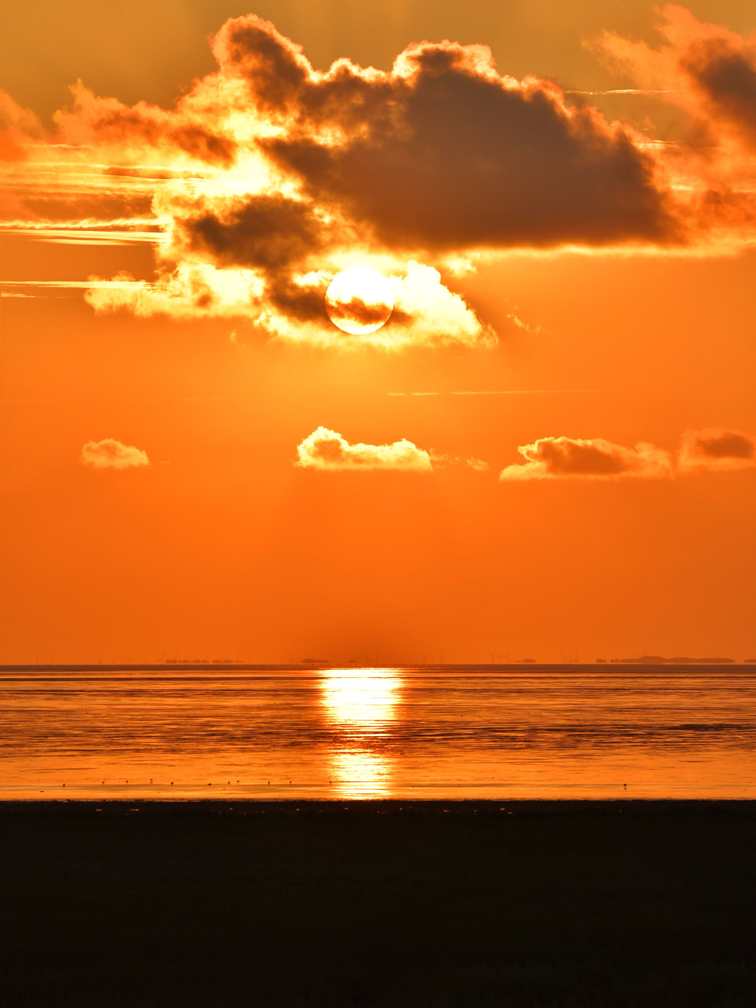 Orange Nature Photos, Download The BEST Free Orange Nature Stock Photos ...