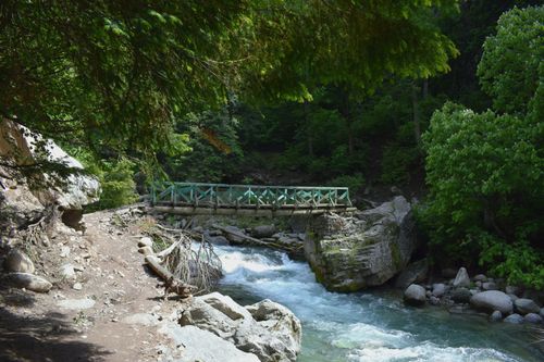 Free Charming wooden bridge spanning a rushing mountain stream in a lush forest setting. Stock Photo
